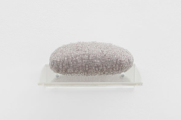 Ustina Yakovleva, From the series “Mosses” VII, 2023