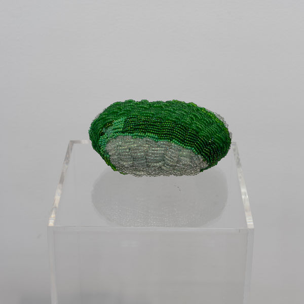 Ustina Yakovleva, From the series “Mosses”, 2023