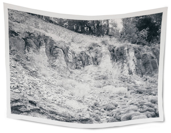 Ustina Yakovleva, Untitled, 2020