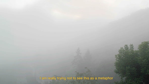 Evgeny Granilshchikov, I am really trying not to see this as a metaphor, 2023