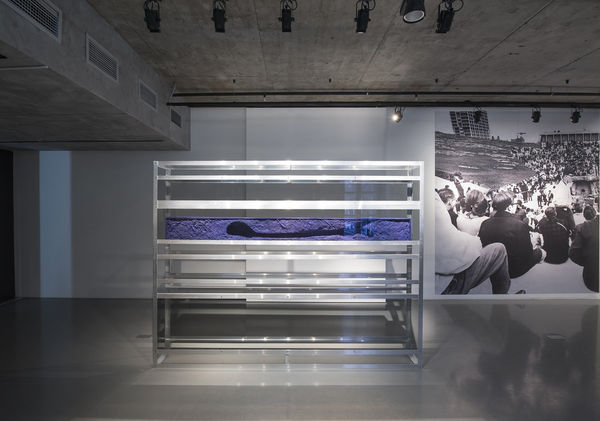 Anna Titova, Blue Vitrine, 2016