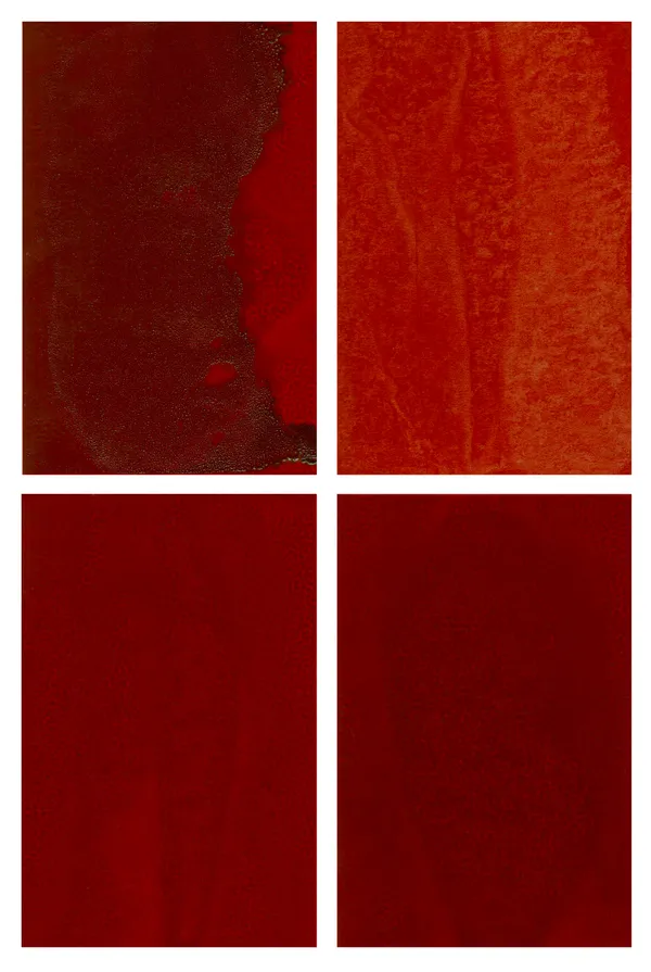 Mika Plutitskaya, Без названия / Untitled, 2025