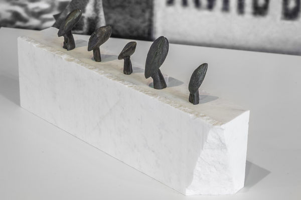 Anna Titova, Last Colony, 2012