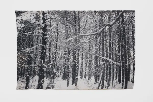 Ustina Yakovleva, Из серии "Северные леса", Зима. Чакола | From the series "Northern Forests", "Winter. Chakola", 2022