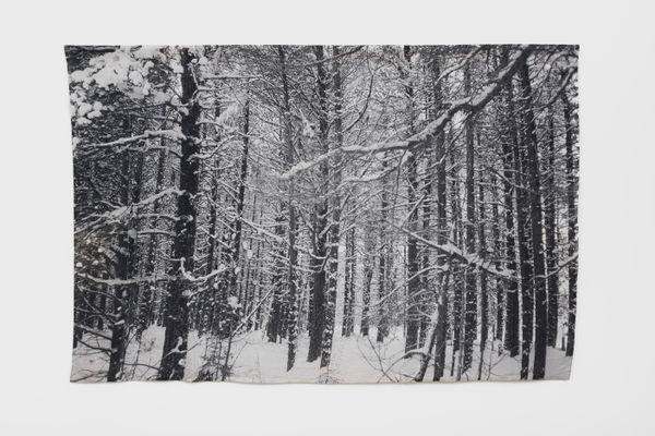 Ustina Yakovleva, From the series "Northern Forests", "Winter. Chakola", 2022