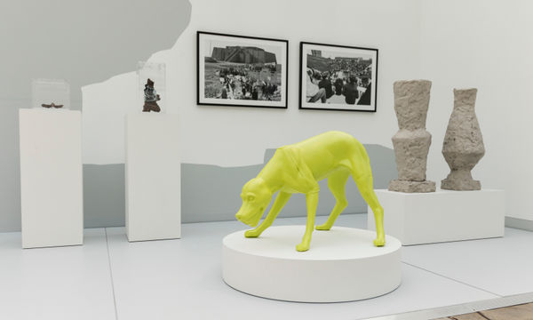 Anna Titova, Pavlov’s Dog, 2016