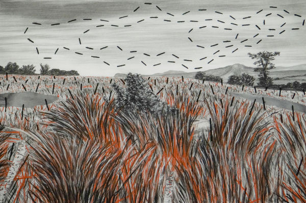 Frans Thoka, Metse le medi , 2023