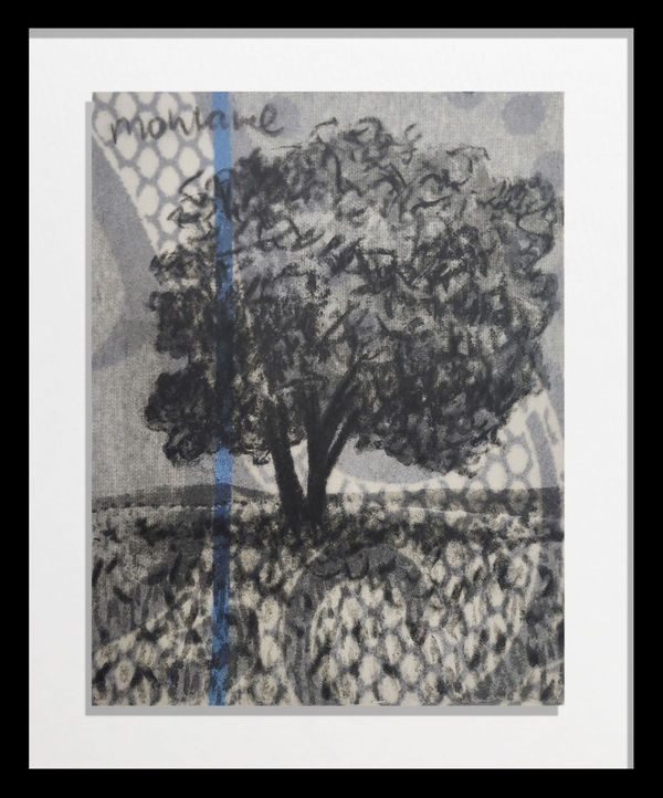 Frans Thoka, Mohlare, 2023