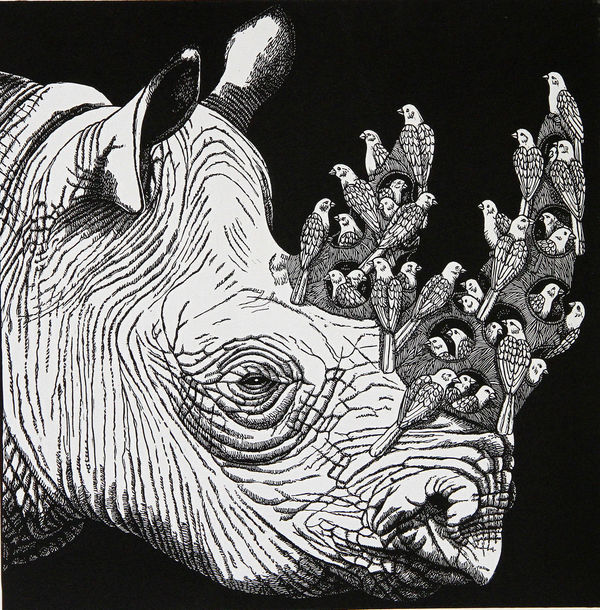 John Moore, White Rhino and Friends , 2021