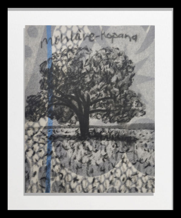 Frans Thoka, Mohla’re Kopana, 2023