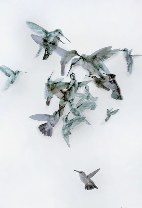 Ingrid Uys, Subtle Chaos, 2022