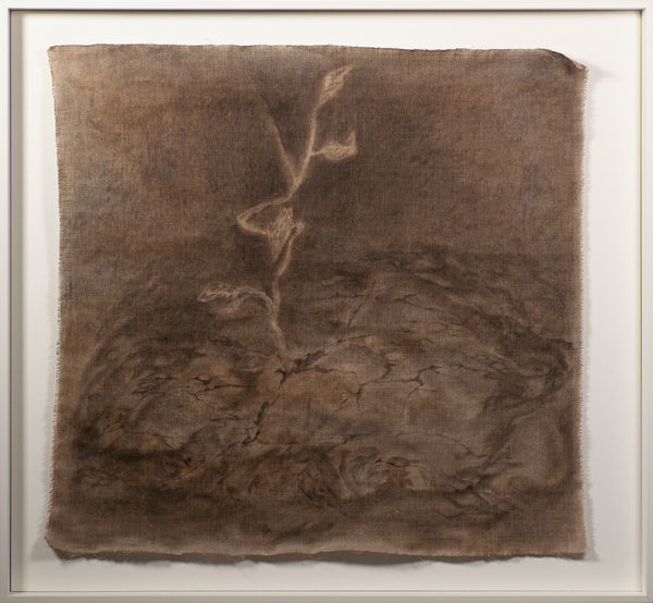 Polina Shcherbyna, Stigmata II, 2023