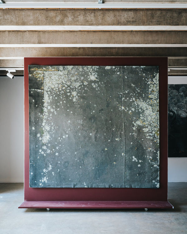 Kerrie Hughes, Lichen 2, 2017