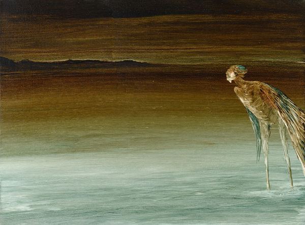 John Walsh, Southern Manaia In The Shallows, 2023