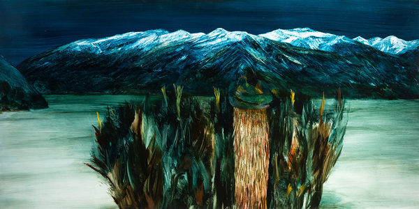 John Walsh, Mana Taiao Wanaka, 2023