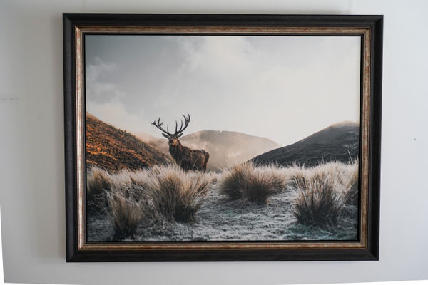 Julian Apse, Sentry, 2021