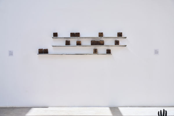 Sara Abdu You Are My Return , 2026 A mixture of Bukhoor ingredients on a steel shelf 180 x 15 x 3.5 cm (per shelf)