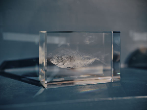 Sarah Abu Abdallah Safi, 2026 Crystal sculpture 15 x 10 x6 cm Variations of 3 + 1AP #(2/3)