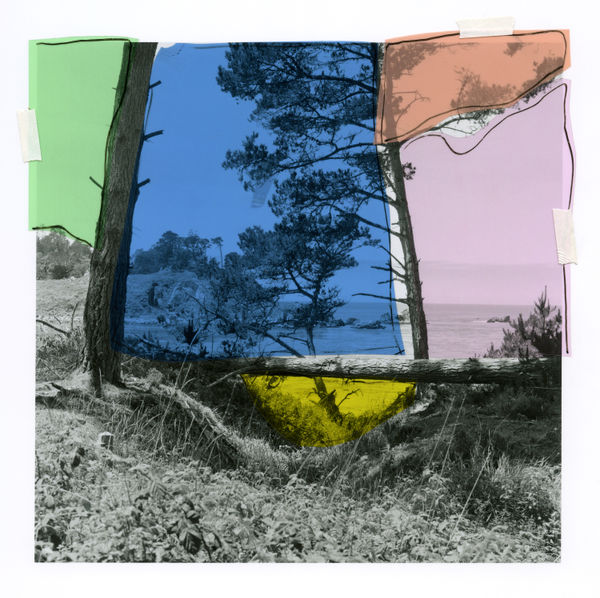 Katie Shapiro Placed Out , 2020 40 x 40 in 101.6 x 101.6 cm