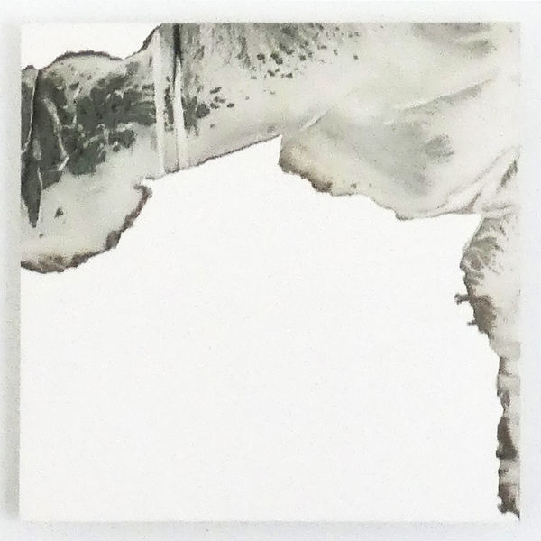 Karrie Hovey Melt Stone Gray Liquid Paint with Water and Paint Residue on Silk 24 x 24