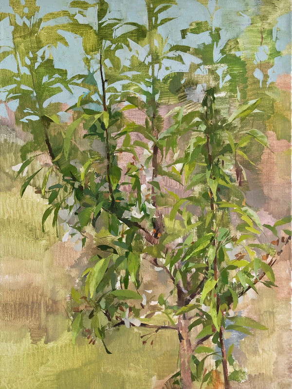 Christina Weaver, Afternoon Crabapple, 2021