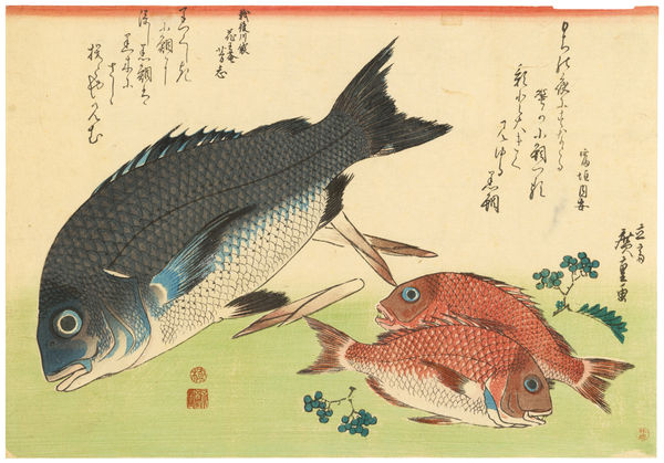 Utagawa Hiroshige (1797-1858) Black Sea Bream, Small Sea Bream, Asparagus Shoots and Sansho Pepper, from the untitled series of Large Fish, circa 1832-33 Woodblock print Signed: Ryusai Hiroshige ga Date: circa 1832-33 Censor's seal: kiwame (approved) Publisher: Nishimuraya Yohachi (Eijudo) Horizontal oban: 25.4 x 36.5 cm. (10 x 14 ⅜ in.)