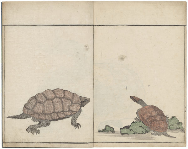 Kitao Masayoshi (1764-1824), Abbreviated sketches of fish and shellfish (Gyokai ryakuga shiki), 1802