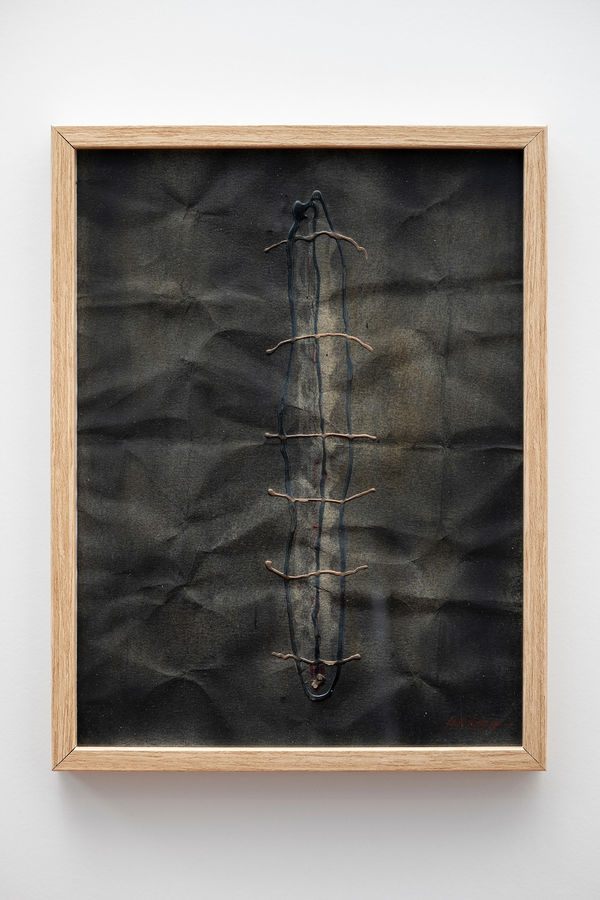 Enric Ansesa, Sutura ZV, 2024