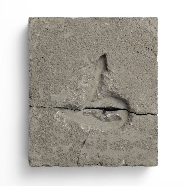 Sara Alahbabi, I Think in English, But Feel in Arabic, 2022