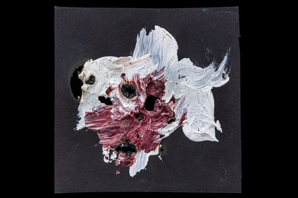 Adam Tylicki Untitled, 2017 Acrylic paint on burnt paper with sunlight