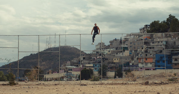 Todd Tourso Testify, 2026 Archival inkjet print on matte fine art paper, unframed