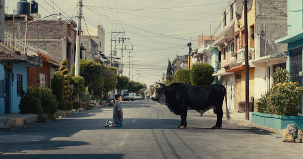 Todd Tourso Bullet In The Head, 2026 Archival inkjet print on matte fine art paper, unframed