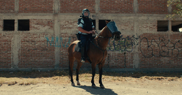 Todd Tourso Fuck The Police, 2026 Archival inkjet print on matte fine art paper, unframed