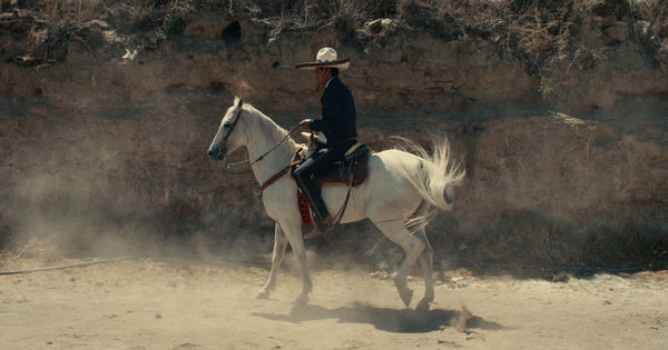 Todd Tourso Guerrilla Radio, 2026 Archival inkjet print on matte fine art paper, unframed