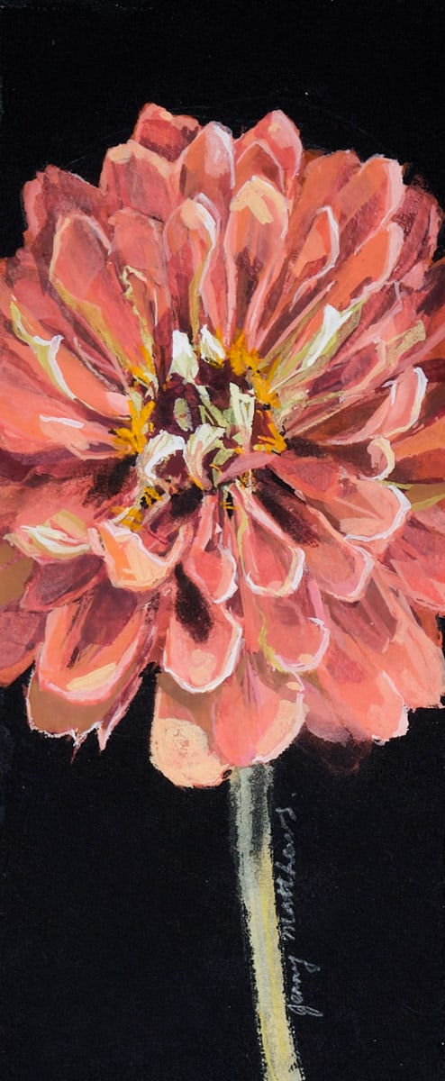 Jenny Matthews, Zinnia