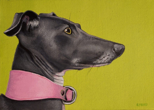 Stanley Bird, The Quiet Gaze