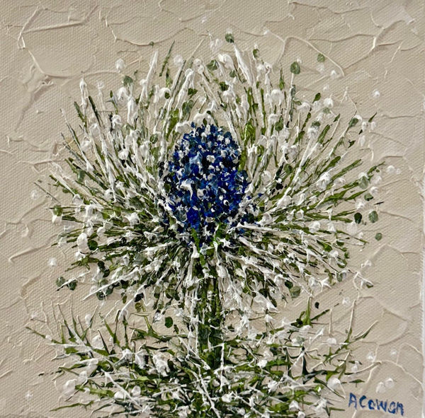 Alison Cowan, Sea Holly Swirl