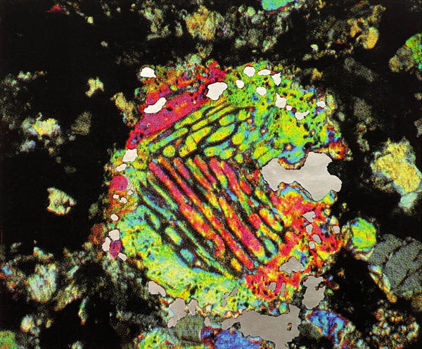 Alice Wang, Untitled, 2025