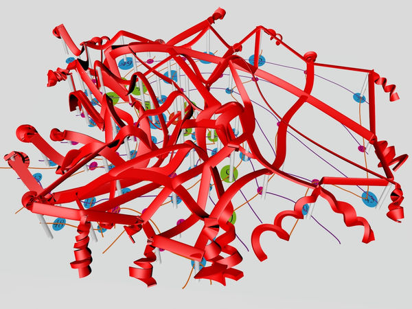 Jin Feng 金锋, Training camp at the Himalayas 喜马拉雅山群训练营 , 2015