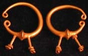 Roman Gold Earrings