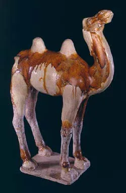 Tang Sancai-Glazed Camel