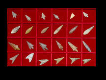 Set of Twenty-Four Neolithic Flint Arrowheads