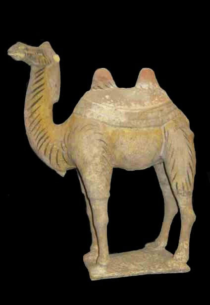 Tang Painted Terracotta Camel
