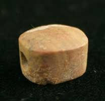 Ammonite Stone Scaraboid Seal