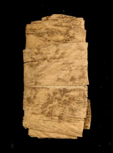 Papyrus Manuscript