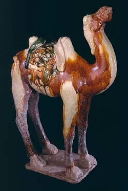 Tang Sancai-Glazed Camel