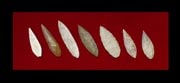 Set of Seven Neolithic Flint Arrowheads