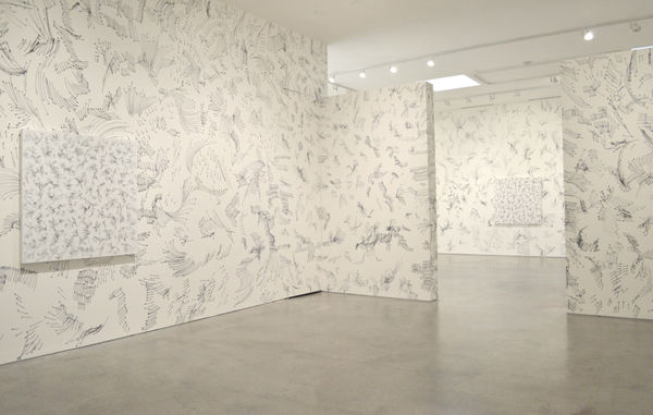 Andrea Bianconi, Drawing Installation, 2017