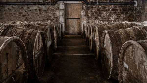 CHAI ANDR&Eacute; H&Eacute;RIARD DUBREUIL NO.3 Cognac, France, 2023