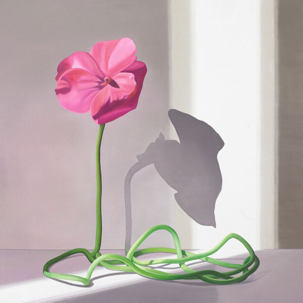 Karen Holländer, Im Licht betrachtet 1, 2022